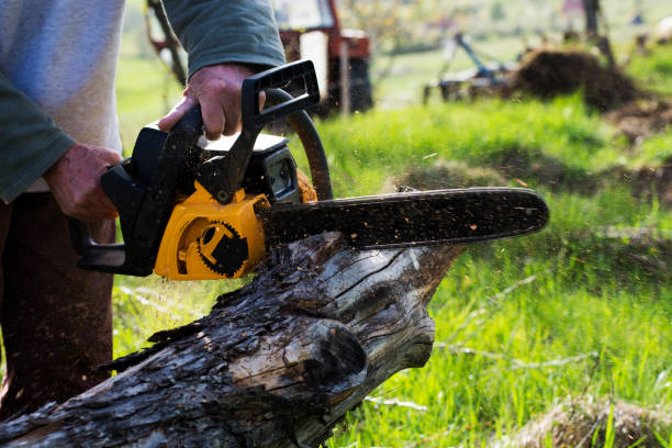 Soil Testing and Treatment in Mauriceville, TX